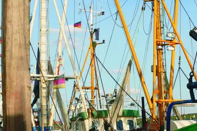 Image de Peace and relaxation in healthy North Sea air - family-friendly - Fewo Marina