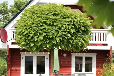 Image de Charming vacation home, at the center of Germany for up to 8 guests.