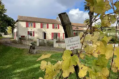 Image de Sunny and lighted village house, with swimming pool, and view of the vineyards