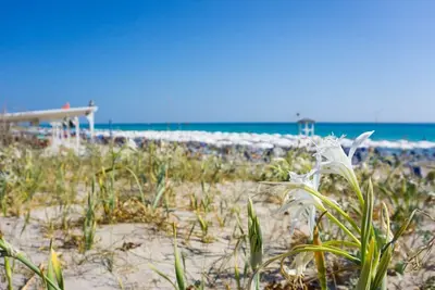 Image de Villa with garden 500m from the beach