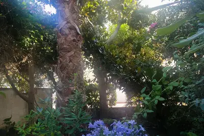 Image de Entire villa surrounded by greenery 3 rooms with bathroom