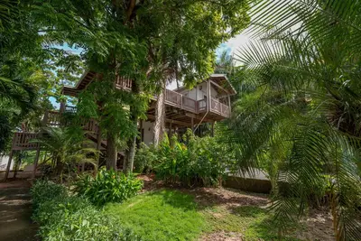 Image de Luxurious Tropical House near Beaches & Downtown