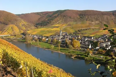 Image de Mosel-Winzerhaus - Moselwinzerhaus