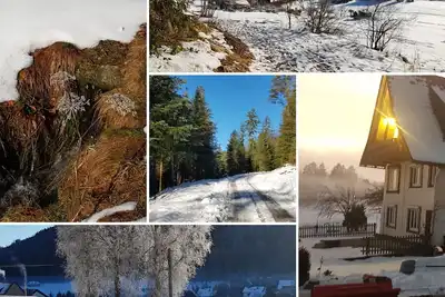 Image de Sunshine - the power of nature and the sauna