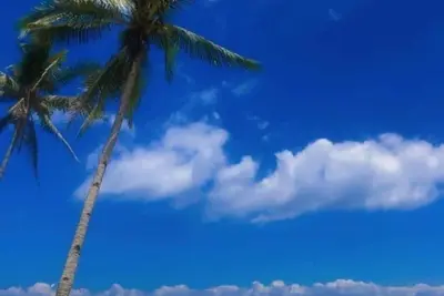 Image de Beachfront and a stunning view of an island