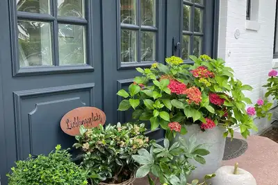 Image de 75qm Lieblingsplatz mit Sauna in Bendestorf / Nähe Hamburg/ Lüneburg