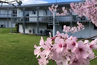 Image de Comfortable, attractive Greens Landing Apartment