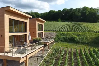 Image de Votre séjour dans un village viticole de Champagne