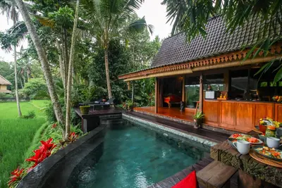 Image de Luxury Villa with Private Pool and Kitchen!