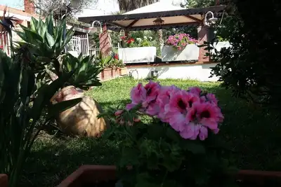 Image de Une véritable oasis dans la ville