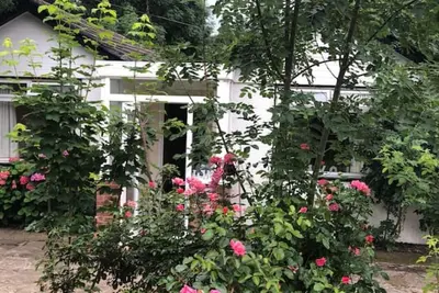 Image de Whole house cottage with parking and huge garden