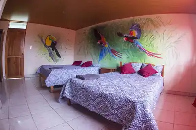 Image de Thematic Birds suite | into the authentic rainforest close to the Arenal Volcano