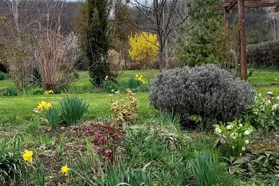 Image de Gite les Mésanges