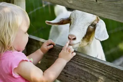 Image de 7 Mins to Glacier National Park Cottage Farm Stay With Hot Tub