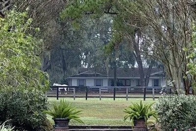 Image de Wec/Ocala Farmhouse on acreage with pool/ barns/arena