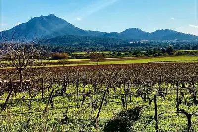 Image de Historic finca in the vineyard near Felanitx 8-10 pers. Pool sauna heating
