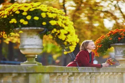 Image de A Stones Throw From Lush & Lovely Jardin Du Luxembourg