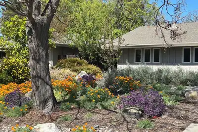 Image de Serene 3br Oasis in Davis: Bike-Friendly Haven Near Uc Campus