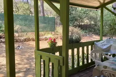 Image de chalet au coeur d'une oliveraie