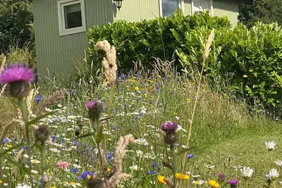 Romantic Shepherd hut with private hot tub over looking breathtaking views