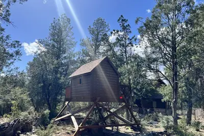 Image de Miles of National Forest in Backyard - Cozy Cabin in Seclusion