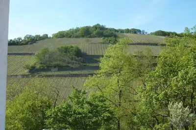 Image de Appartement de vacances Rüdesheim am Rhein pour 1 - 2 personnes avec 1 chambre à coucher - Logement