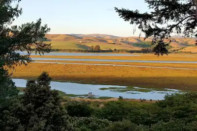 Image de Tide View's peaceful beauty