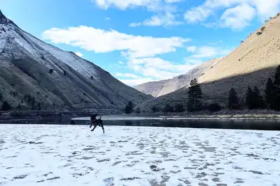 Image de Downtown Riggins Condo just steps to the Seven Devils Saloon!