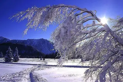 Image de À 300m des pistes de ski, 8ème étage, balcon, parking, télévision, casier à ski, 40m², Chamrousse