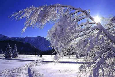 Image de À 50m des pistes de ski, 1er étage, balcon, télévision, casier à ski, 29m², Chamrousse
