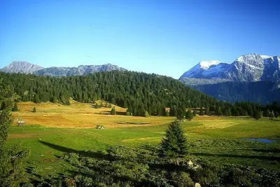 Image de À 300m des pistes de ski, 11er étage, balcon, parking, télévision, casier à ski, 19m², Chamrousse