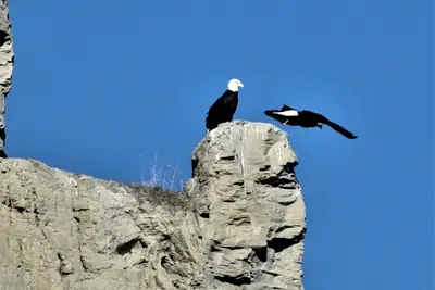 Image de Nestled adjacent to Adam's Bird Sanctuary - 5 min from the Beach!