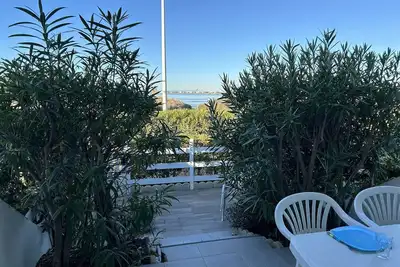 Image de Port Camargue, T2 climatisé, terrasse, parking, animaux admis