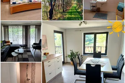 Image de Vacation apartment Holiday Prümtal - 4-bed vacation apartment shower/Wc