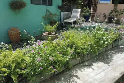 Image de Homerez - Maison avec Terrasse Ă Schoelcher