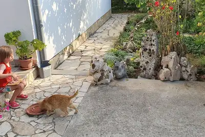 Image de Nice, quiet, and inexpensive family apartment with proximity to sandy beach