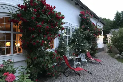 Image de Fantastic vacation right on the Baltic Sea coast of Southern Jutland, Broagerland