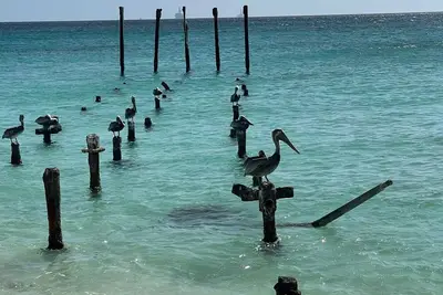 Image de Romantic Gateway Family-sized resort with hot tub Beach Front View