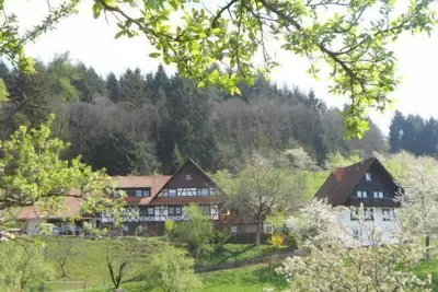 Image de Chestnut log cabin, max. 4 persons