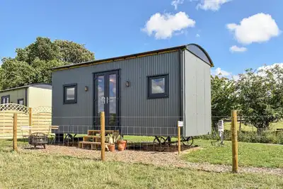 Image de Forget-Me-Not - Uk37646