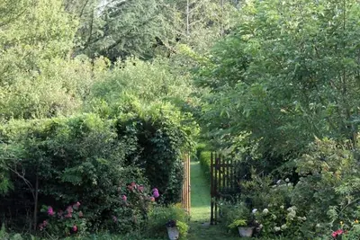 Image de Charming family manor house in the heart of Southern Burgundy