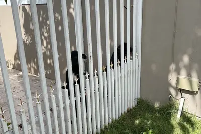 Image de Comfortable family  home close to the beach