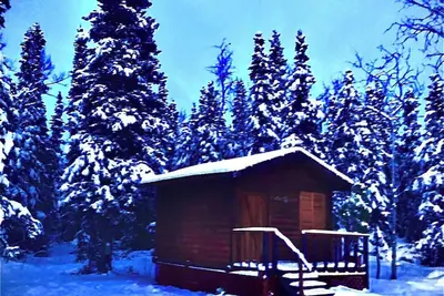 Image de Off grid, totally private Alaskan Clear Creek dry cabin!