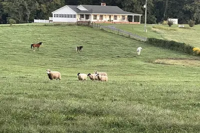 Image de Charming FarmHouse with animal meet&greet