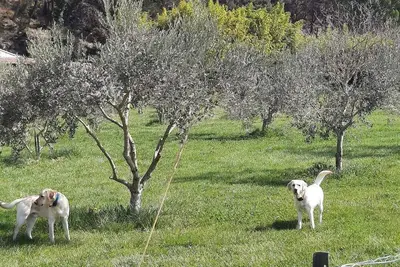Image de Joli appartement indépendant en pleine campagne dans mas familial