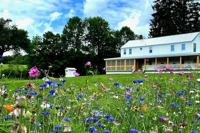 Image de French Woods Farmhouse | TimeOut Ny's Pick | Fire pit | Hot tub | Pond | Dogs Ok