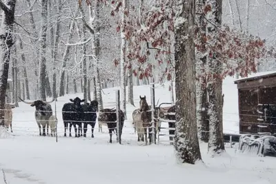 Image de Hagood farms and trails