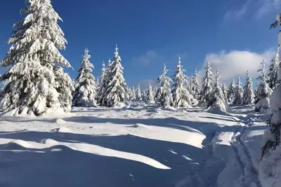 Image de Joli chalet dans les hautes Vosges