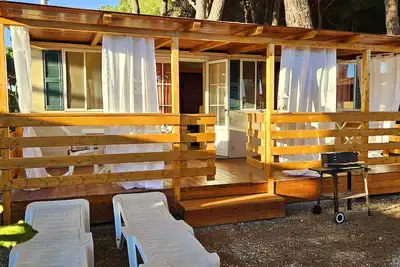 Image de International House Pool