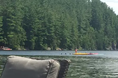 Image de Dorset Wren lake Turtle Cove\nFour acres in the heart of Muskoka